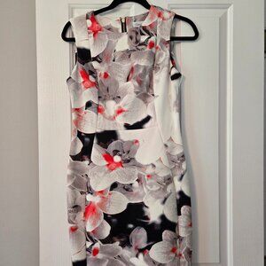 Womens Calvin Klein Size 6 Floral Sheeth Dress